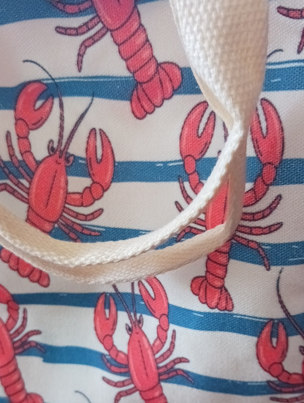 Canvas Lobster Print Crossbody Bag - Pink/Blue - Picture 2 of 6